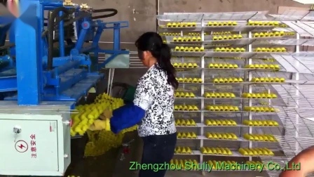 Машина для производства лотков для яиц из бумажной массы, линия по производству лотков для фруктовых яиц